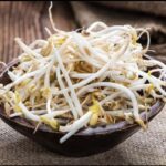 Bean Sprouts