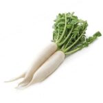 Radish (Daikon)