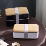 Japanese style bento (2 layers)