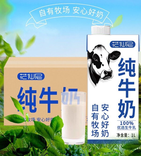 Premium Cow Milk
