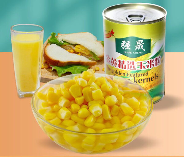 Canned Sweet Corn 480g