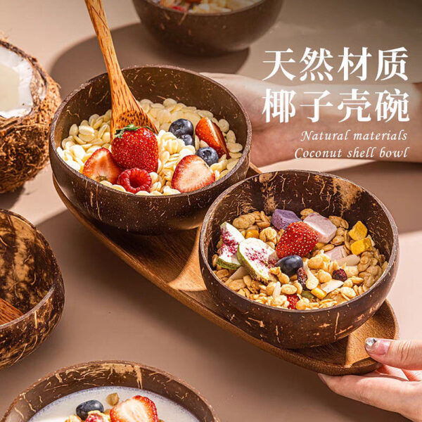 Coconut Shell Bowl